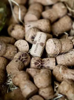 Try some of the UK’s best wine in Kent
