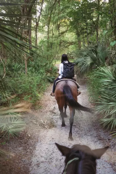 Horse riding Horse riding