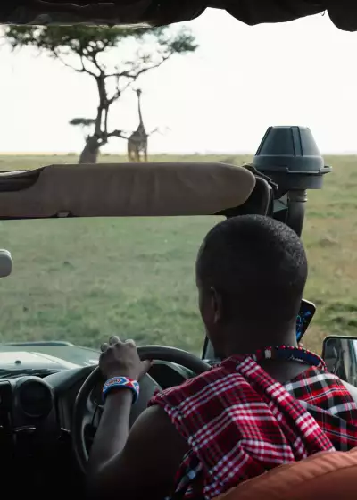 Game drive - Naboisho Conservancy