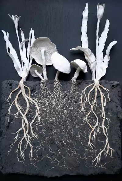 &lsquo;SOIL: The World at Our Feet&rsquo; celebrates soil&rsquo;s unbreakable bond to life