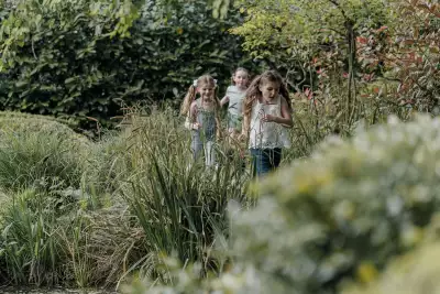 Playing on the grounds