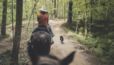 Horse riding in Kentucky