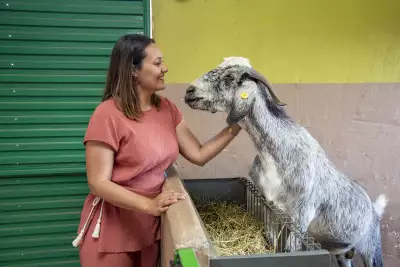 La Jaira de Ana