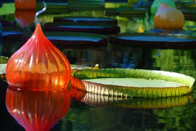 Lilypad at Missouri Botanical Garden