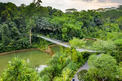 Walkway at Singapore Botanical Gardens