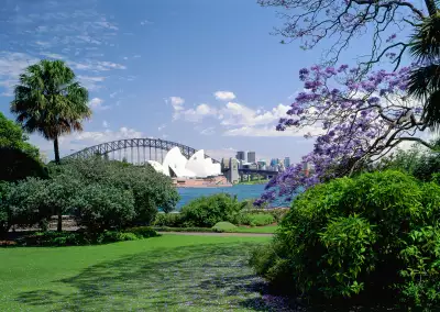 View of the Opera House from the Royal Botanic Garden in Sydney