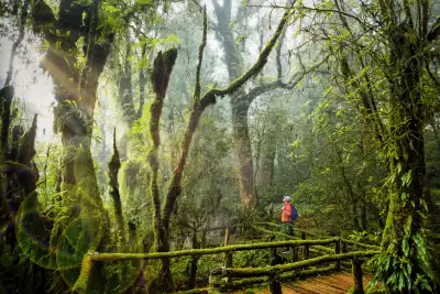 Inthanon National Park, Chiang Mai Inthanon National Park, Chiang Mai