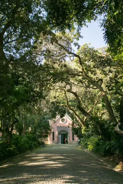 A scene from Parque Lage, located at the foot of the Corcovado mountains