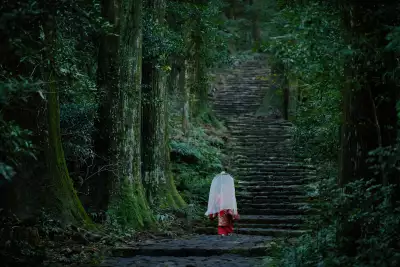 Walking the steps of the Daimon-zaka pilgrimage trail in Wakayama
