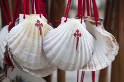 Camino shells