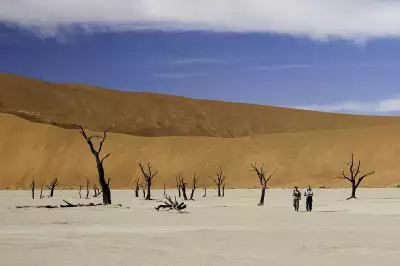 Deadvlei, a white clay pan located near Sossusvlei in the Namib-Naukluft National Park in Namibia