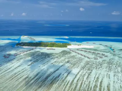 Seagrass flourishes by the overwater villas