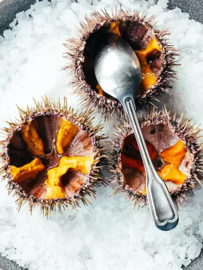 Sea urchin at Roks