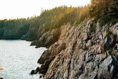 Granite cliffs rise above Otter Cove in Acadia National Park, just beyond a short trail near Blackwoods Campground on Mount Desert Island