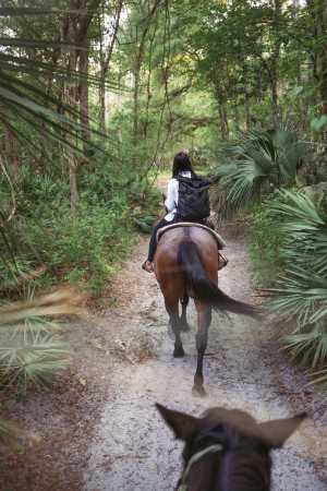 Horse riding