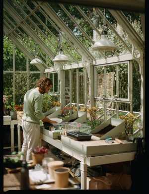 The garden hothouse