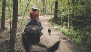 Horse riding in Kentucky