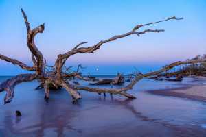 Black Rock Beach