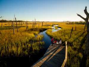 Cradle Creek Preserve