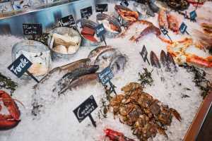 Westfield 2025 fish market