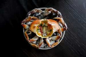 Crab at Published on Main