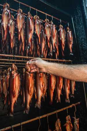Baiersbronner Schätze Buhlbachforelle