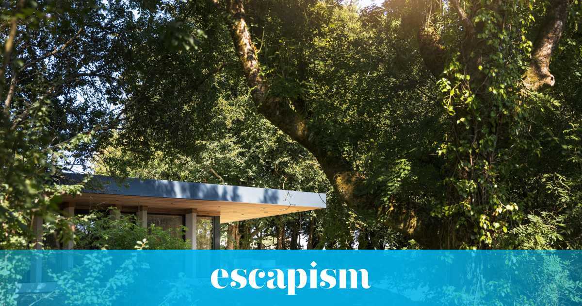 UK Eco Staycations: 10 Places To Stay In 2024 | Escapism