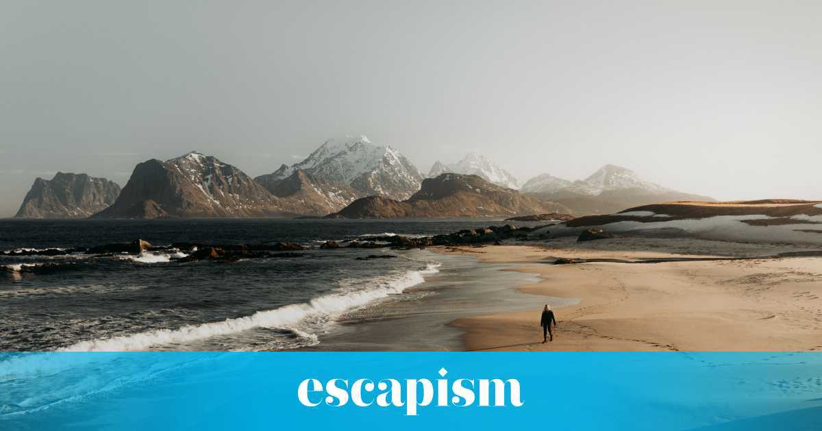 A food and drink guide to the Lofoten Islands and Arctic Circle | Escapism