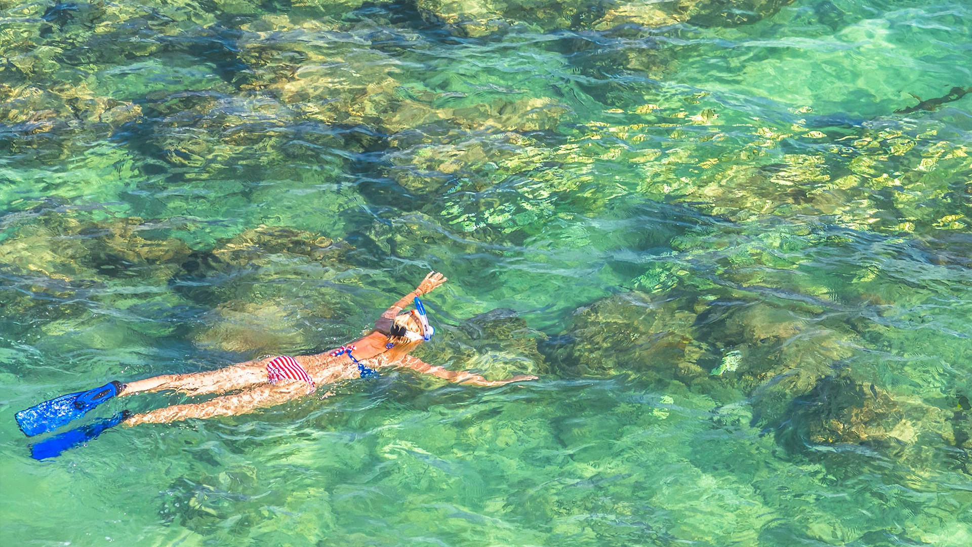 Snorkelling in clear waters Snorkelling in clear waters
