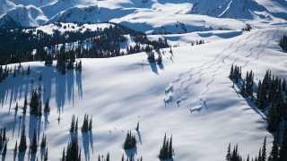 Fresh snow trails in Whistler, Canada Fresh snow trails in Whistler, Canada
