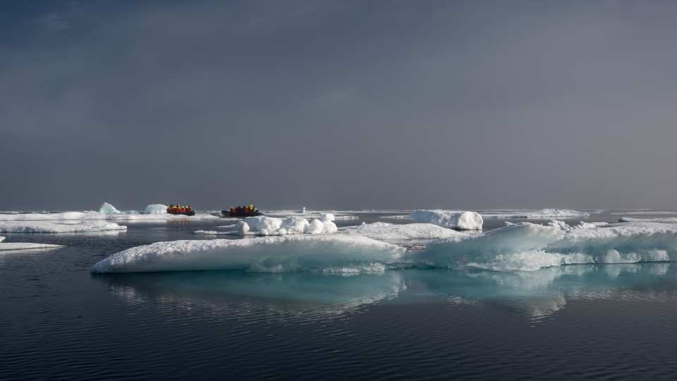 A cruise outing on zodiacs among an ice floe