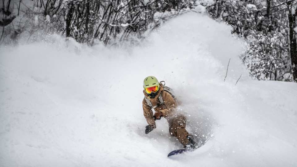 Threading the glades in Hakuba Valley