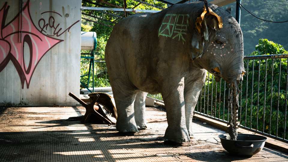 An elephant model in a derelict hotel near Tai She Wan Village in Hong Kong