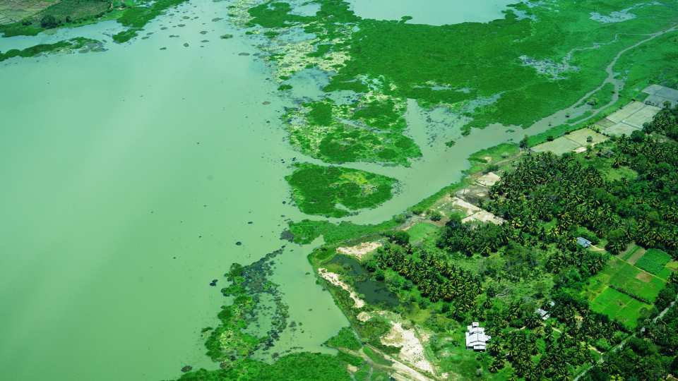 A verdant landscape of lakes and palm trees as seen from a nine- seater seaplane flying from Hatton to Yala National Park