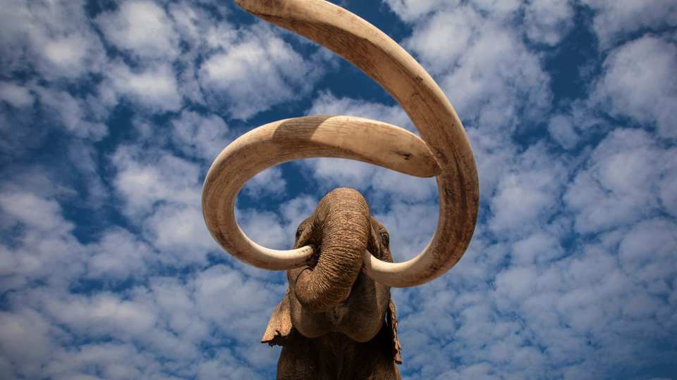 'When Mammoths Ruled the Earth'