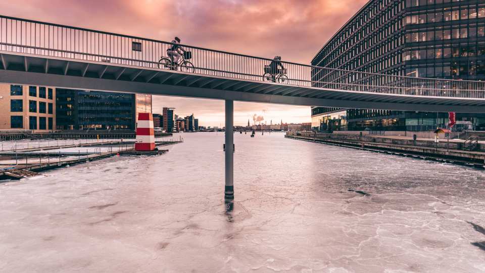 Cycling in Copenhagen