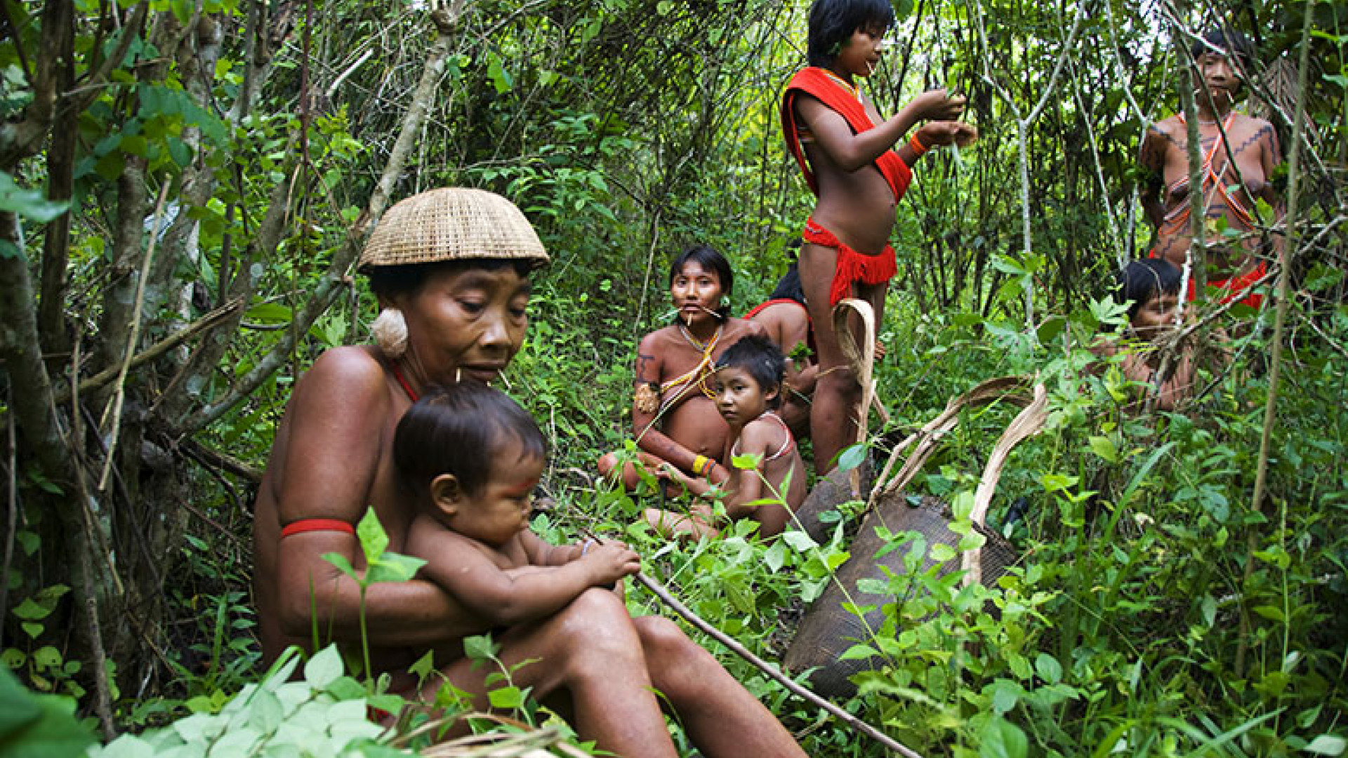 yanomamo people of the rainforest essay yanomamo people of the rainforest essay