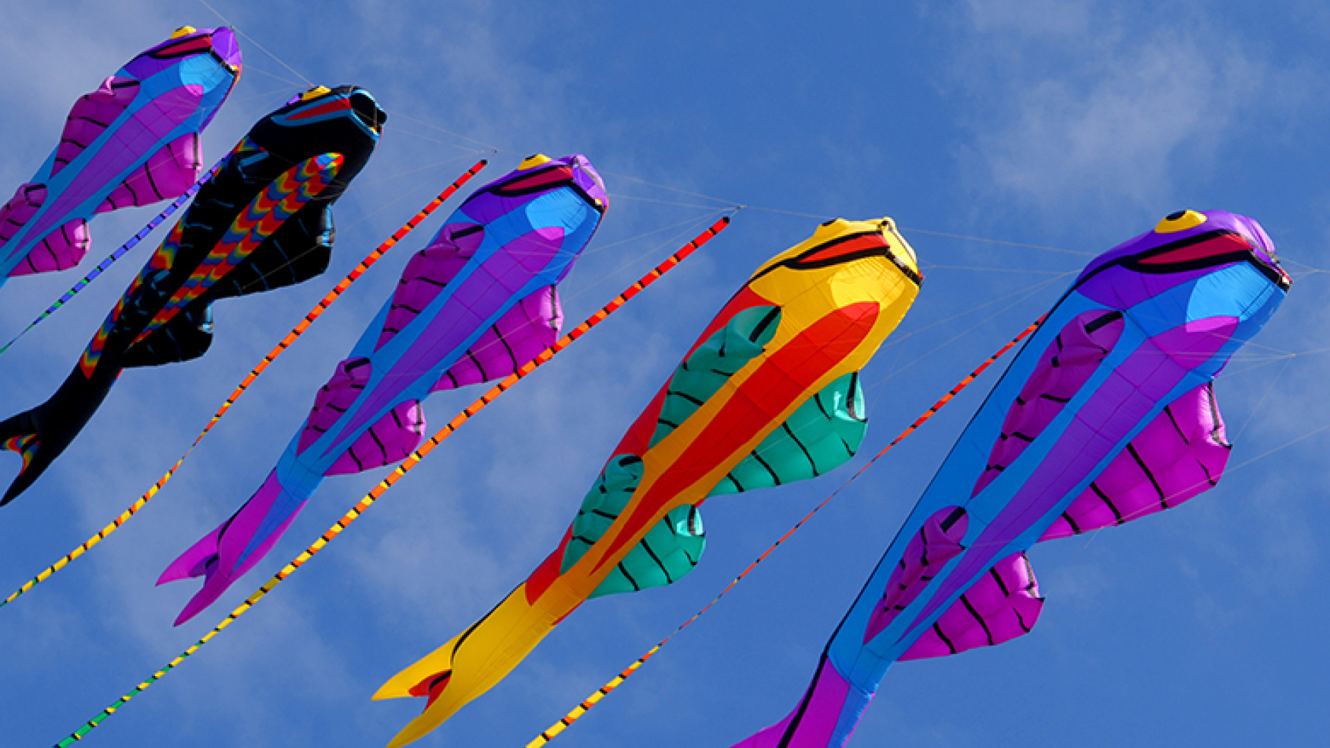 chinese new year fish kite