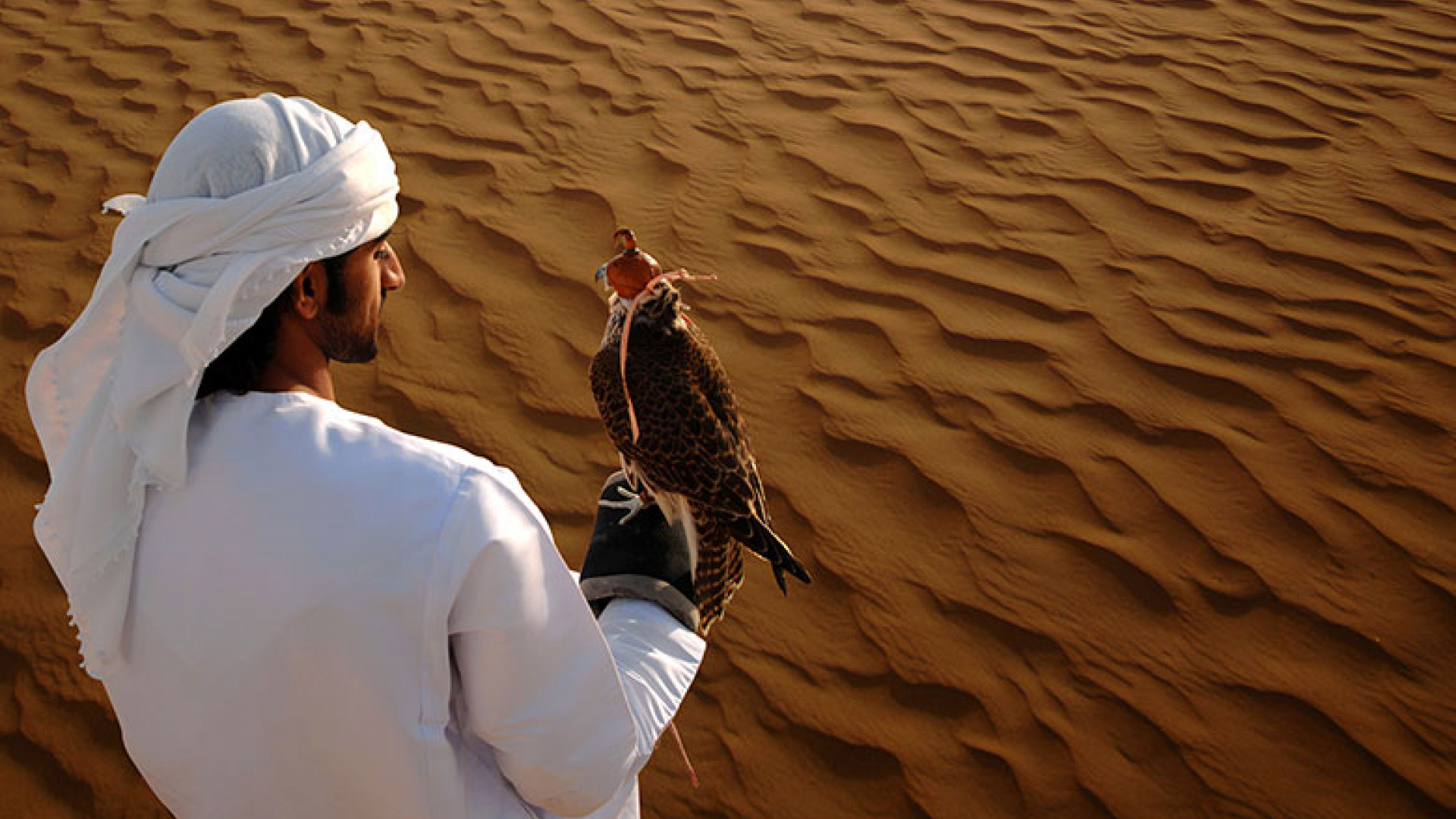 History & Culture | Dubai | Features | Escapism Magazine