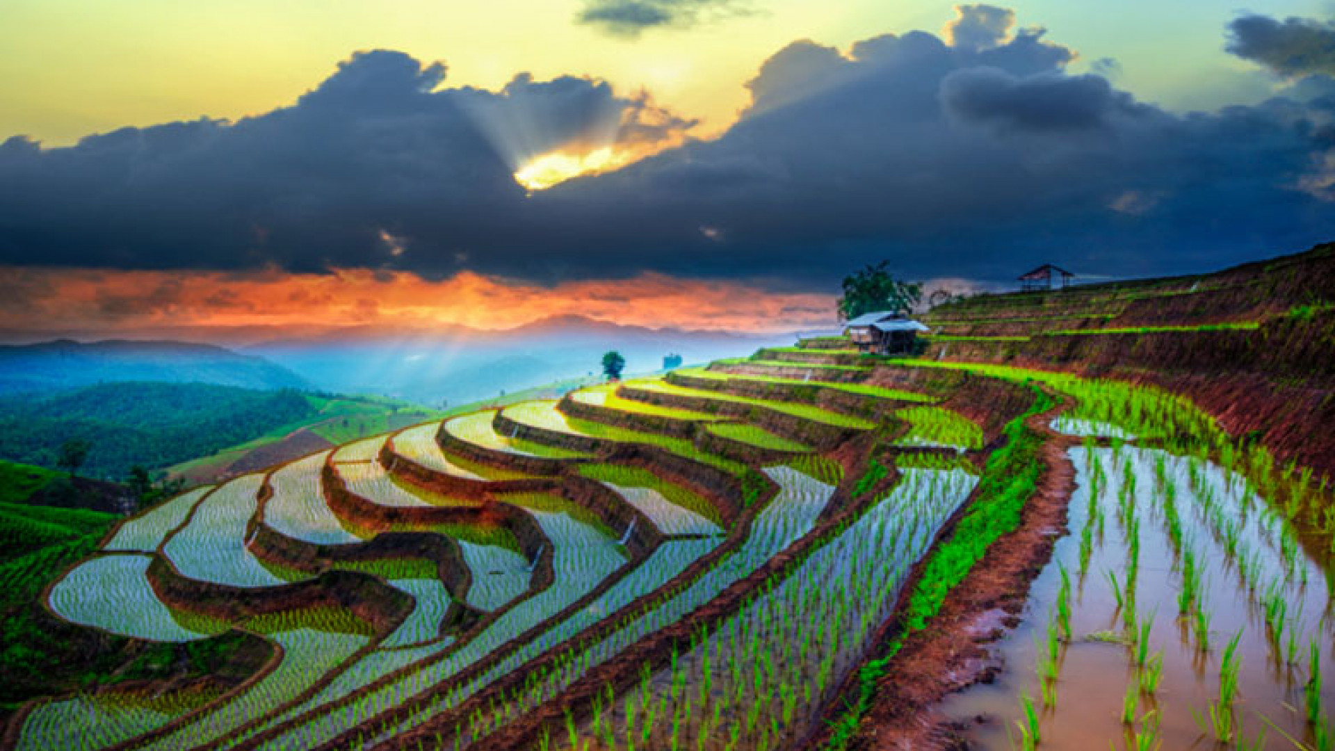 10 mesmerising pictures of ancient rice paddies  Escapism 