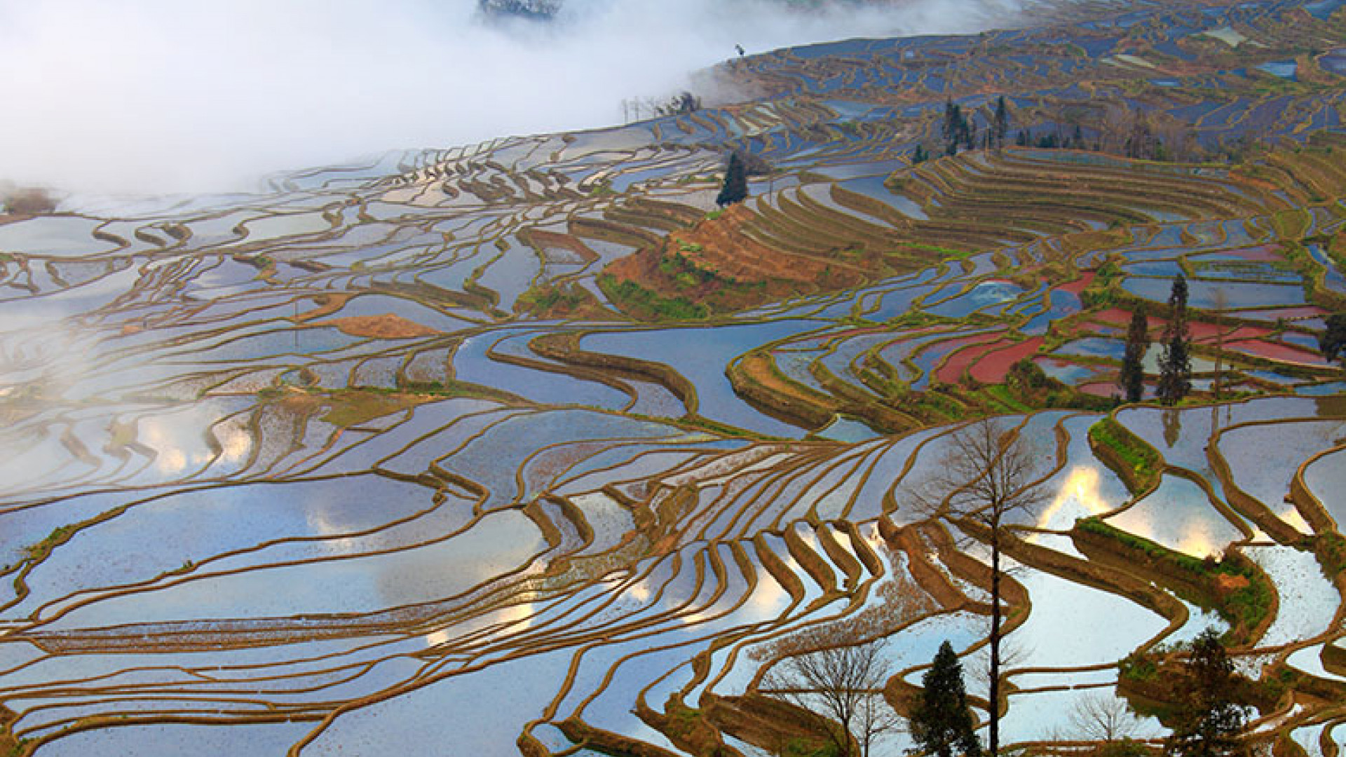 10 mesmerising pictures of ancient rice paddies | Escapism Magazine