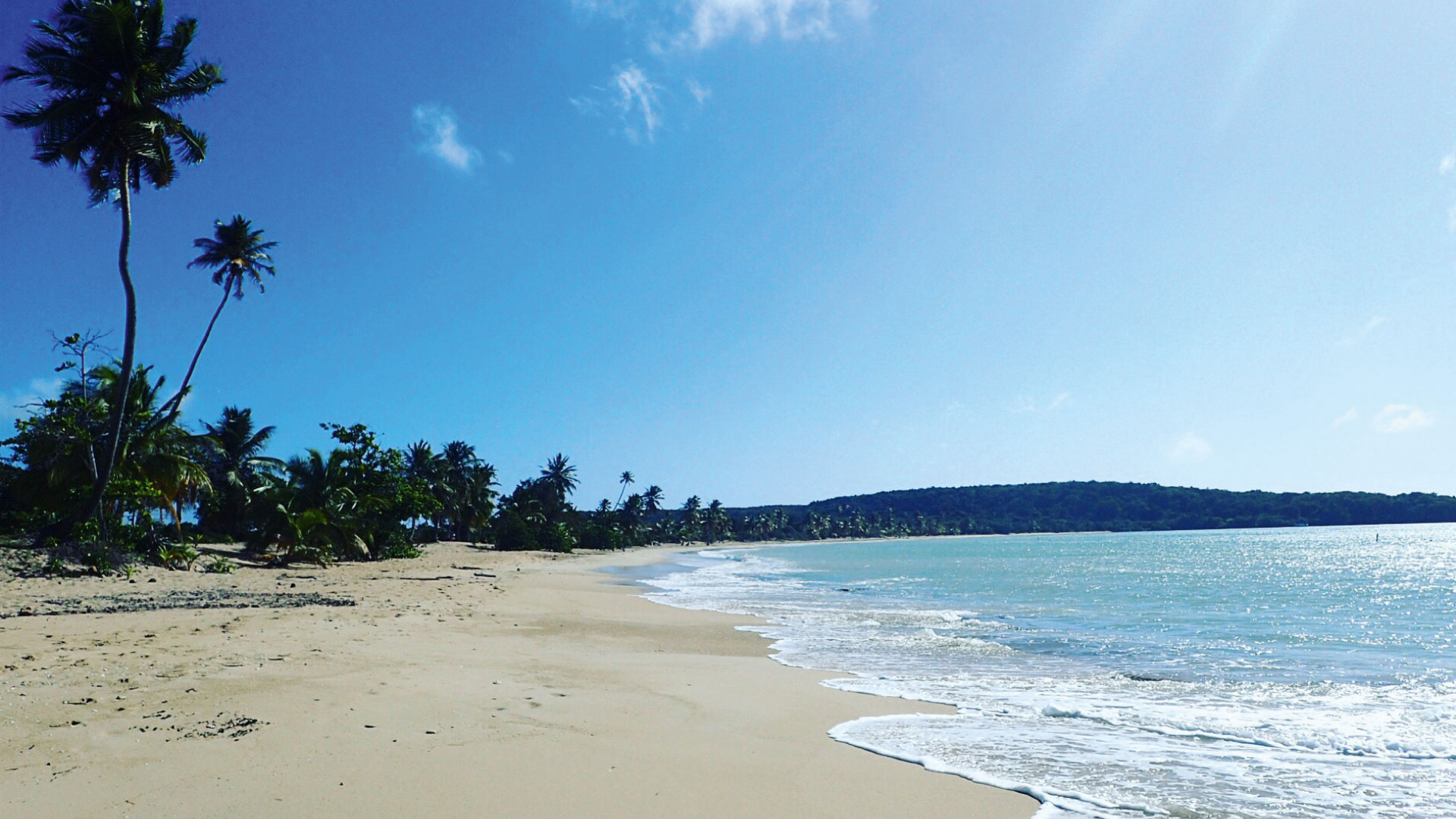 A Lucky Break: an alternative escape to Puerto Rico | Escapism