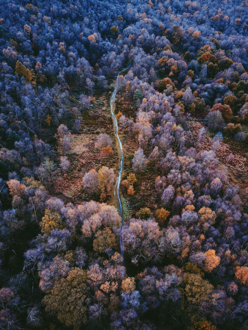 Drone photo of woodland tracks near Sheffield, Yorkshire Drone photo of woodland tracks near Sheffield, Yorkshire