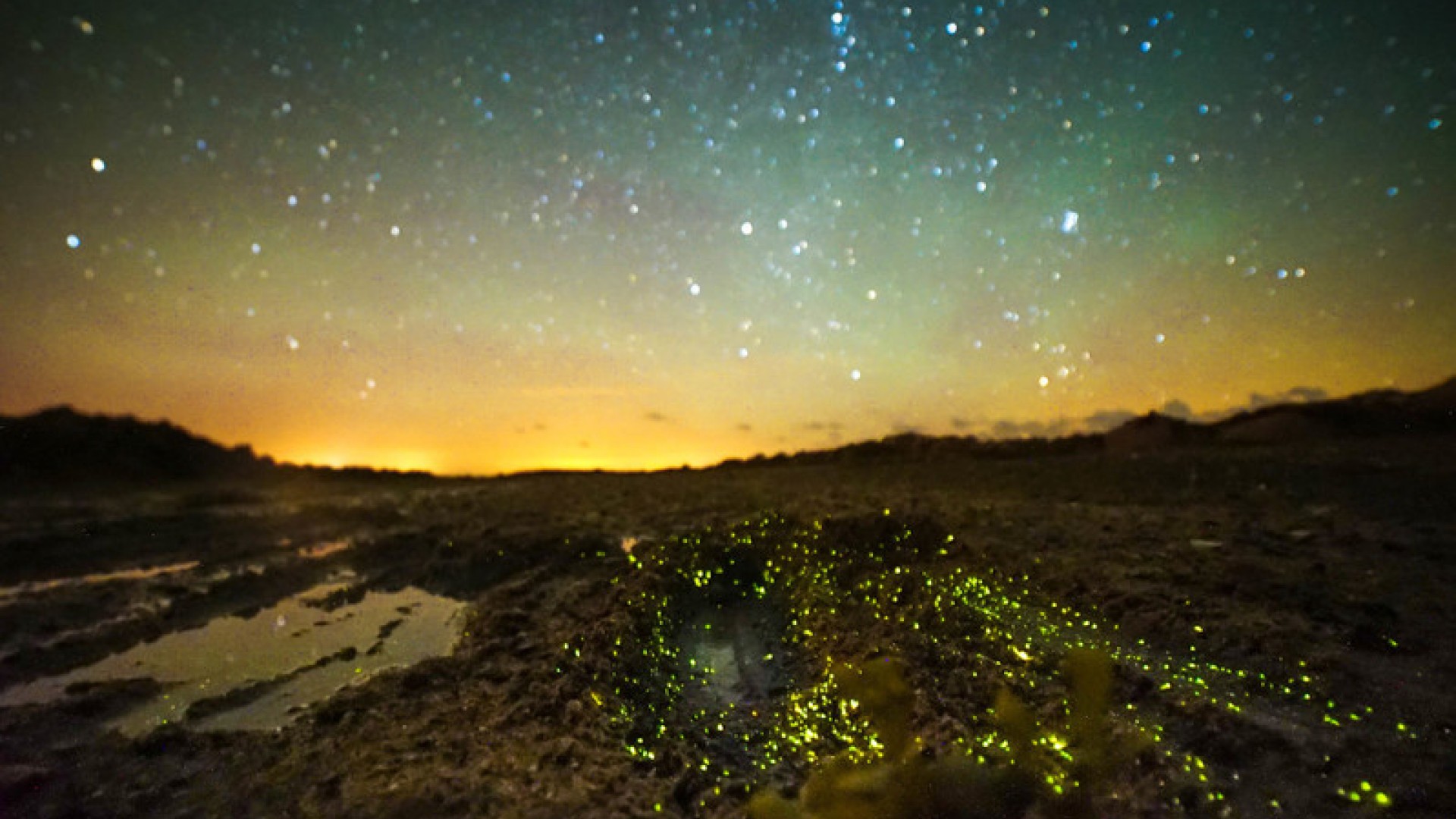 Bioluminescence in La Rocque harbour, Jersey, UK Bioluminescence in La Rocque harbour, Jersey, UK
