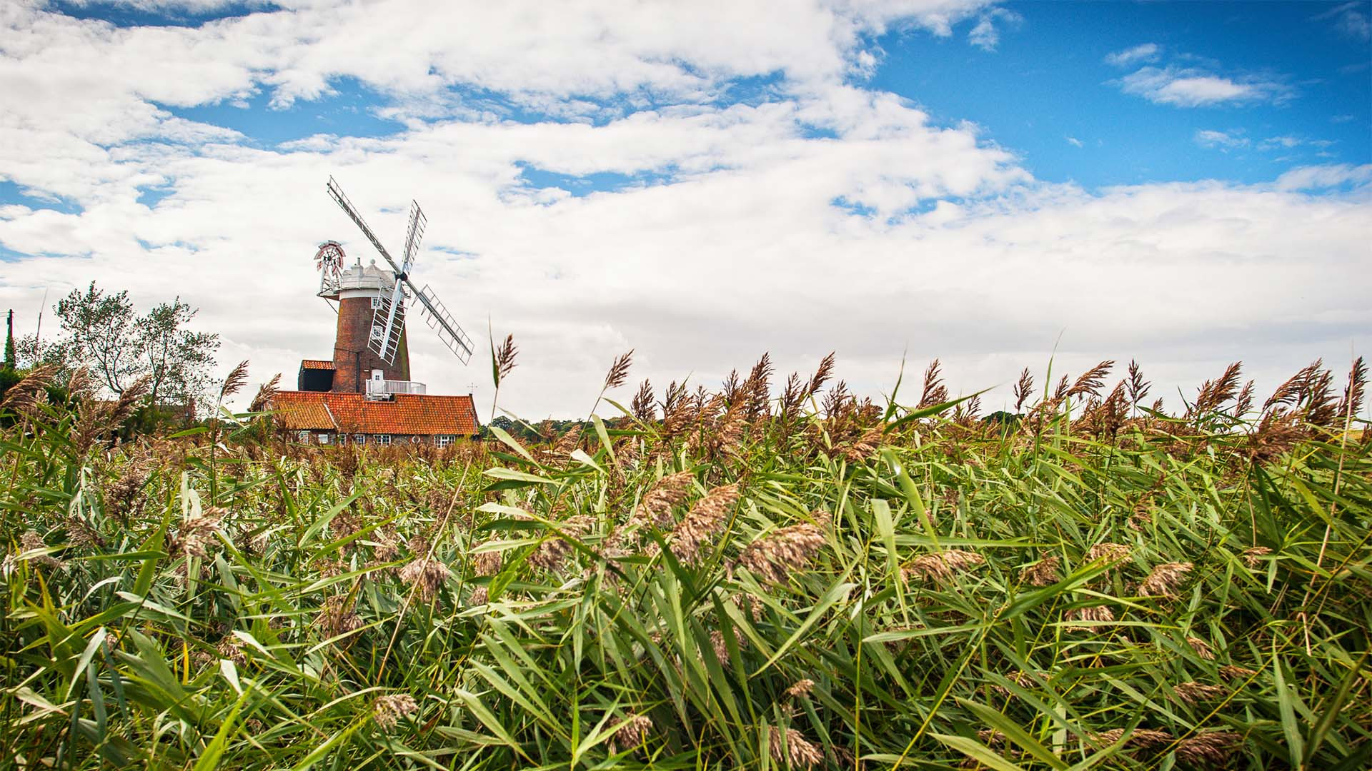 Cley Windmill, Norfolk