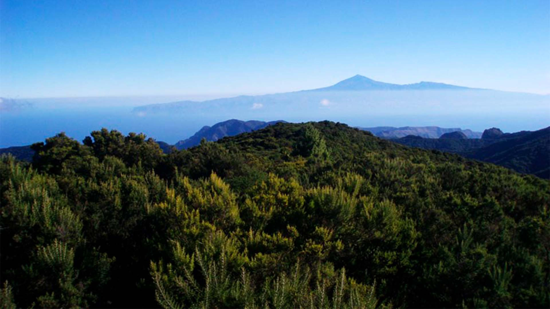 View from Alto de Garajonay in La Gomera, the Canary Islands View from Alto de Garajonay in La Gomera, the Canary Islands