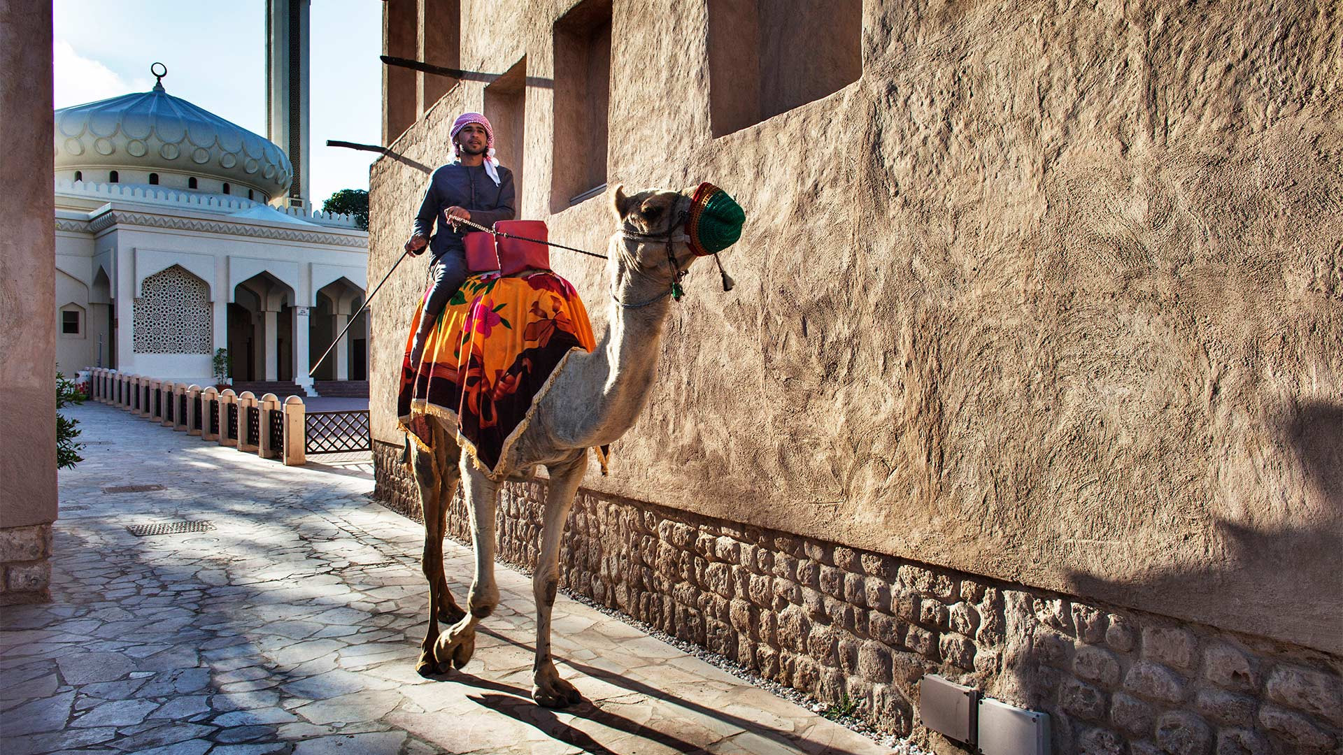 Camel riding in Old Dubai