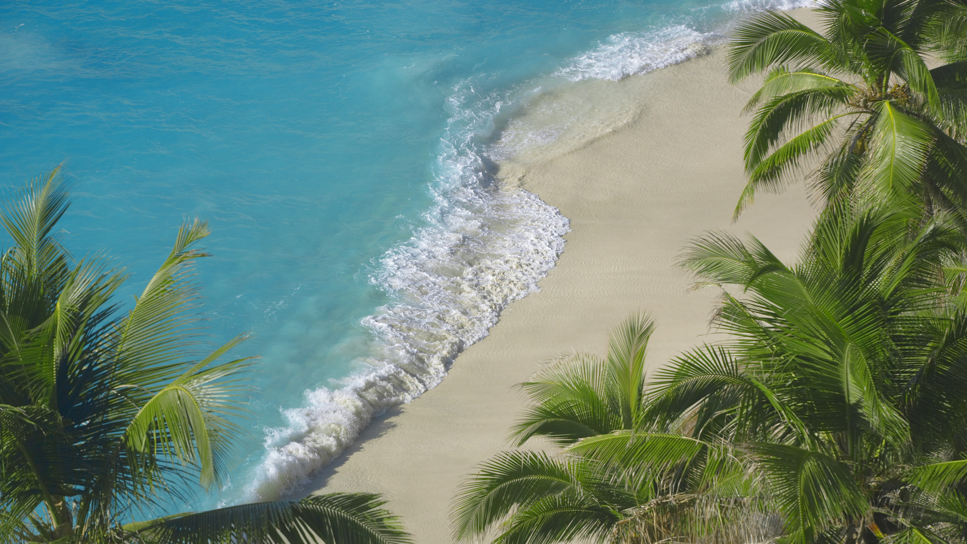 Waves crashing on the beach at Fregate Island Private in Seychelles