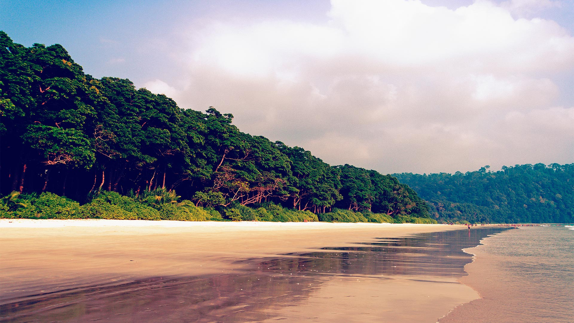 A beach in the Andaman Islands