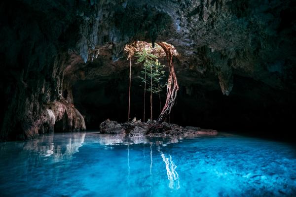 Visit the cenotes